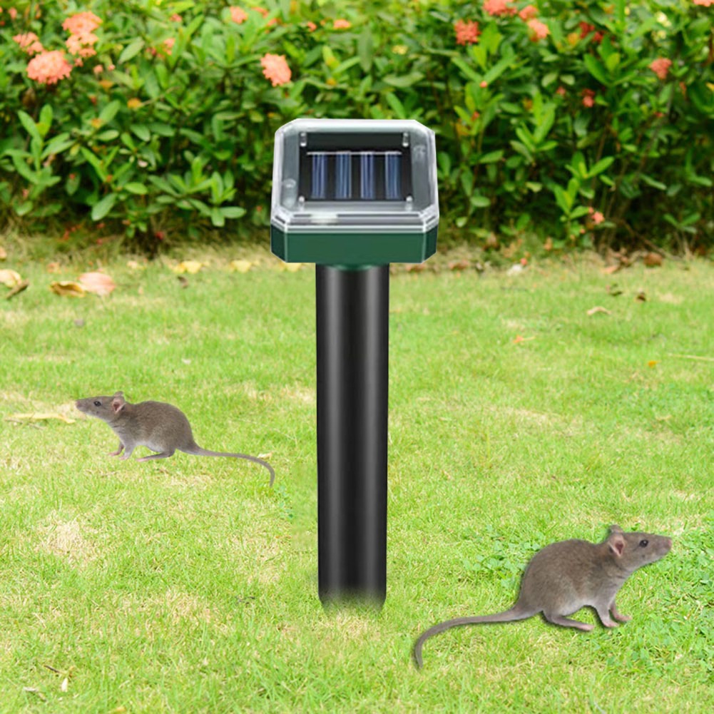 ECO REPEL®: Seguridad en exteriores sin químicos ni electricidad. 🏡 (2x1 UNDS)